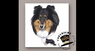 Tegel Hond Schotse Collie