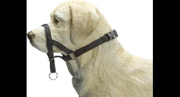 Beeztees Dog Control - Halsband Hond - Zwart - L