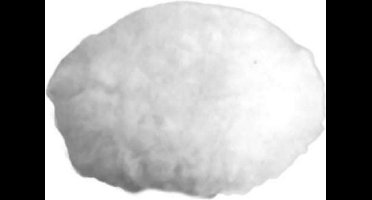 Piranha polijstschijf lamsvacht synthetisch metaal 125 mm X32115