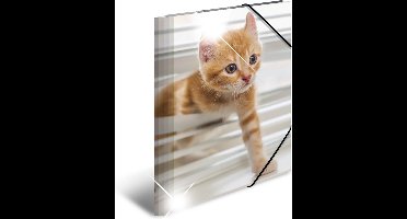 HERMA 19328 map Polypropyleen (PP) Multi kleuren A4