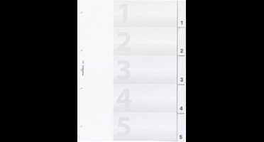 DURABLE Register 683319 245x297cm 20-delige harde folie tr