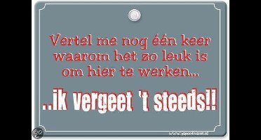 Metal Slogan - Spreukenbord - Tekst Bord - Vertel me nog een keer waarom het zo leuk is om hier te werken�