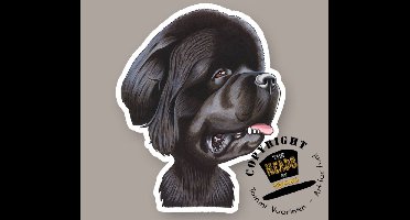 Magneet Hond Newfoundlander