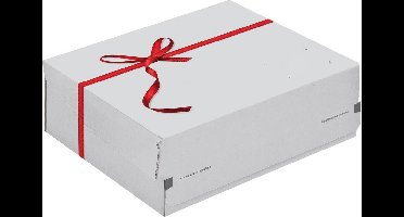 VERZENDDOOS 241X166X94 WT P2