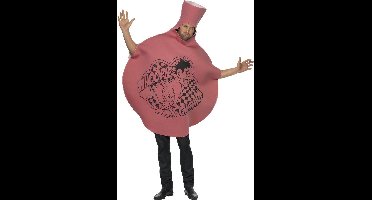 "Schetenkussenkostuum voor volwassenen - Verkleedkleding - One size"