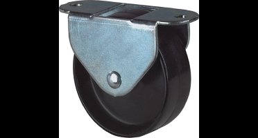 Kelfort Kastbokrol/bokwiel, verzinkt huis, kunststof wiel met glijlager, zwart 30mm