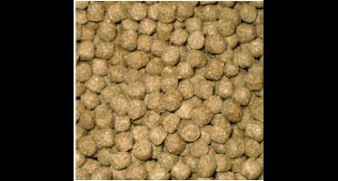 Aqua-Forte Wheat Germ Drijvend Koivoer - 15 Kilo (6 mm)