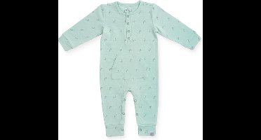 Jollein Boxpakje 50/56 Forest green