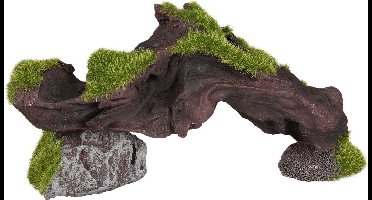 Flamingo - Aquariumdecoratie Kozma stronk met mos - Groen - 17 x 4 x 8 cm