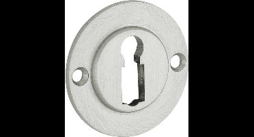 Artitec Sleutelrozet Chemin de Fer 40mm BB mat nikkel ongelakt