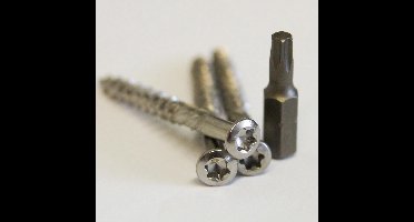 Meuwissen Agro Vlonderschroeven RVS 125 st. + 2 bitjes 5.0 x 60mm