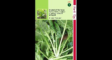 2 stuks Hortitops Snijbiet Groene Gewone