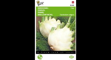 2 stuks - Buzzy - Venkel Zefa Fino
