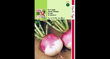 2 stuks Hortitops Rapen Ronde Witte Roodkop Nancy