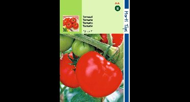 2 stuks - Hortitops - Tomaten Pyros F1