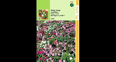2 stuks - Hortitops - Impatiens Walleriana Baby Gemengd