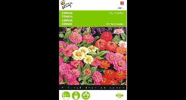 2 stuks - Buzzy - Zinnia elgegans Thumbelina Gemengd