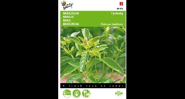 2 stuks - Buzzy - Basilicum Fijne