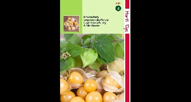 2 stuks Hortitops Ananaskers Physalis Edulis Peruviana