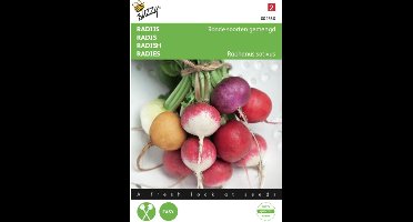 2 stuks - Buzzy - Radijs Ronde Gemengd