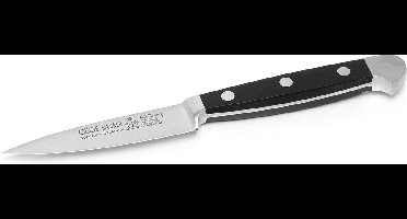 Güde Alpha fruitmes 8 cm POM zwart 1764/08