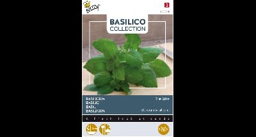 Buzzy - Basilicum Blue Spice