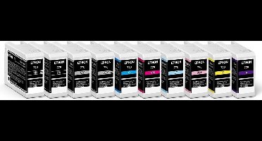 Original Ink Cartridge Epson C13T46S700 25 ml Black Grey