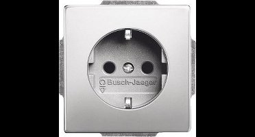 ABB Busch-Jaeger Pure Roestvrij Staal Wandstopcontact (WCD Schakelmateriaal) - 2CKA002011A3850 - E2K4T