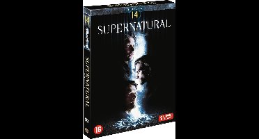 Supernatural - Seizoen 14  (DVD)