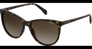 POLAROID Zonnebril (PLD4066/S) Volwassenen Bruin Volledig omrand Polarizerend