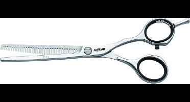 Jaguar JP43 6-0 Coup Schaar