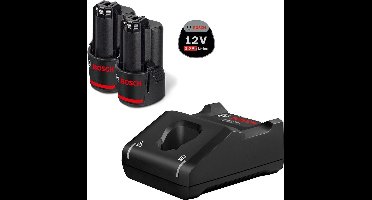 Bosch Professional Starterset 2x GBA 12V Accu 2.0Ah + Snellader GAL 12V-40 - 1600A019R8