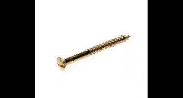 Houtschroef lenskop kop zaagsnede messing 3.0 x 20mm