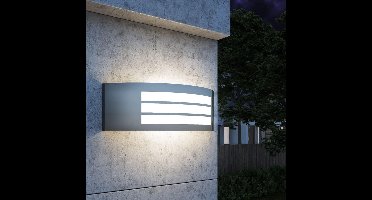 vidaXL Tuinwandlamp roestvrij staal