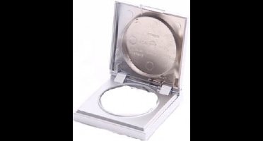 Berker Afdekraam Berker met klep - Verlichting/elektra inbouw/opbouw - Chroom