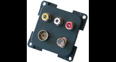 Berker Contactdoos Multimedia Inbouw Antraciet Mat