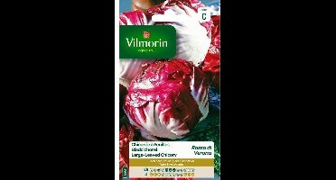 Bladcichorei Rode van Verona