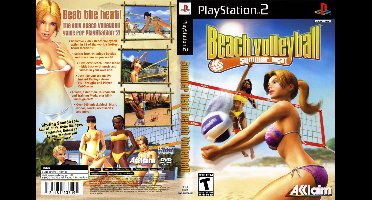 Summer Heat Beach Volleyball