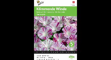 Buzzy® Ipomoea Tricolor Venice Pink