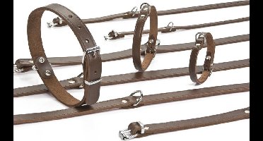Beeztees - Halsband Hond - Leer - Bruin - 27-33 cm x 12 mm
