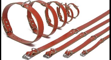 Beeztees - Halsband Hond - Leer - Rood - 32-37 cm x 16 mm