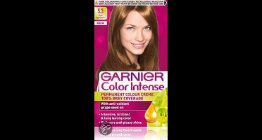 Garnier Color Intense Licht Goudbruin 5.3