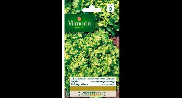 Snijsla Gele gekrulde (zwartzadig)