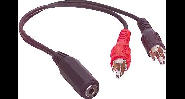 2x RCA mannelijk - 1x 3.5mm stereo vrouwelijk 0,20 m