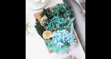 Set gedroogde bloemen en bladeren, gemengde hortensia's en madeliefjes voor doe-het-zelf kaarsen, hars sieraden, hangers, bloemdecoratiebenodigdheden - decoratieve bloemen voor kaarsen, nail art en knutselprojecten (blauw)