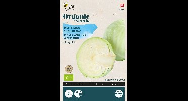 Buzzy® Organic Witte Kool Drago F1 (BIO) - biologisch groentezaad
