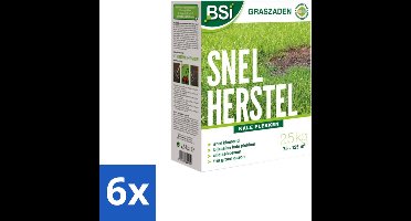 BSI – Graszaad – Snel Herstel – Dicht & Sterk Gazon – 2,5 kg - Voordeelverpakking - 6 stuks