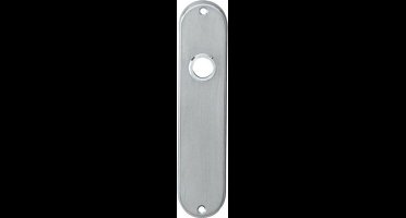 Ivana Necosteel Kortschilden - PC55 - RVS - Verdekt - Met Klik En Veermechanisme - 190x43x9mm