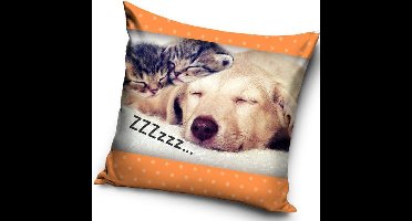 2 slapende kittens en hond - Sierkussen Kussen 40 x 40 cm inclusief vulling