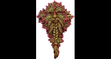 Nemesis Now Muurdecoratie Mabon Wisdom - Tree spirit - wanddecoratie - Multicolours